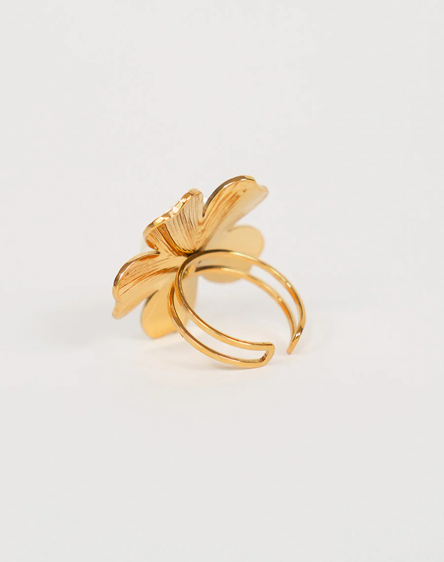 Miniature 5